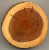 Phân biệt gỗ sưa, gỗ  trắc,  gỗ gụ và các loại gỗ trong đồ gỗ mỹ nghệ