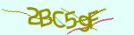 Mã bảo mật