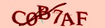 Mã bảo mật
