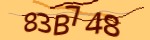Mã bảo mật