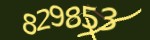 Mã bảo mật