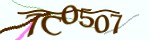 Mã bảo mật
