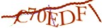 Mã bảo mật