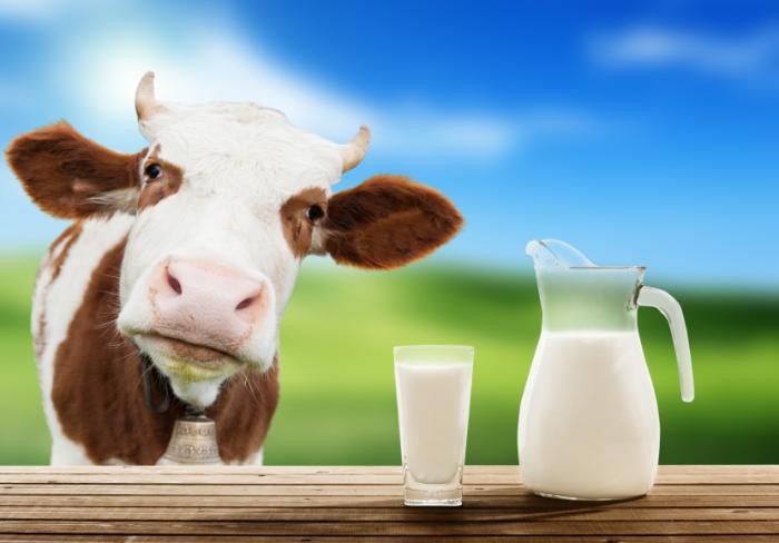 sự thật về sữa bò, công nghiệp sữa, Bài chọn lọc, 