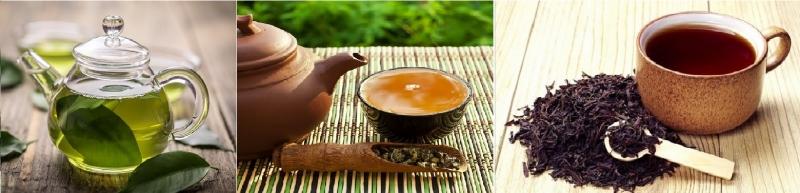 trà đạo, trà, thức uống thải độc dưỡng sinh, Công dụng của trà, 