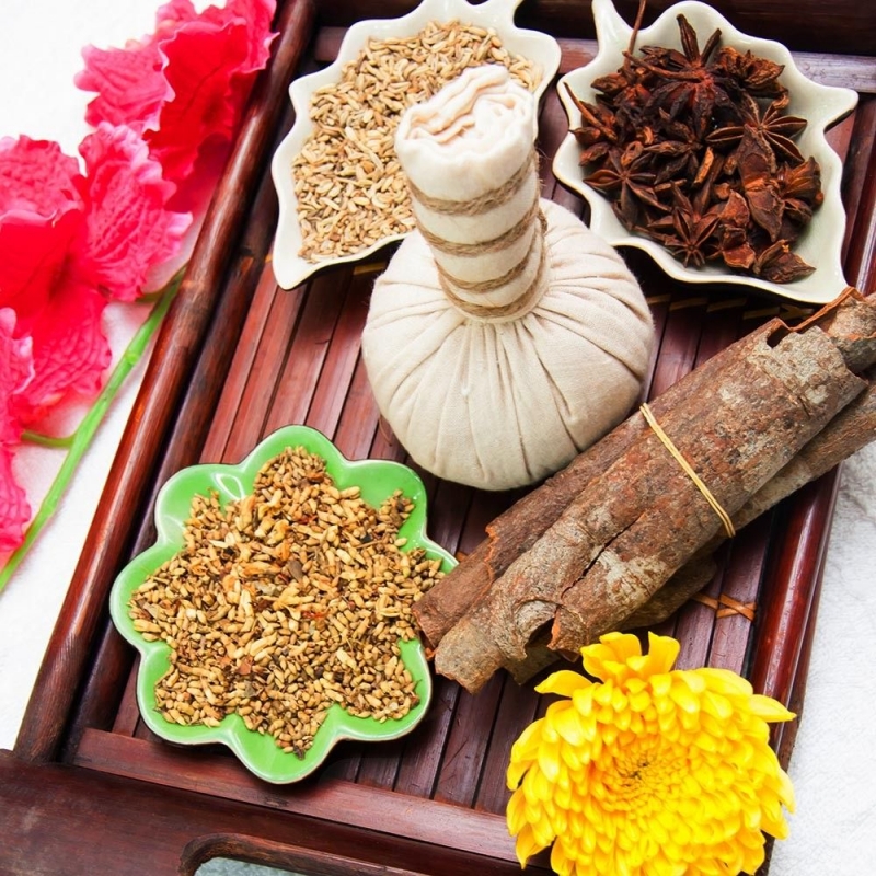 trà, thiên nhiên, thảo mộc, thảo dược, sưởi ấm và chữa bệnh, Sức Khỏe, mùa thu, 